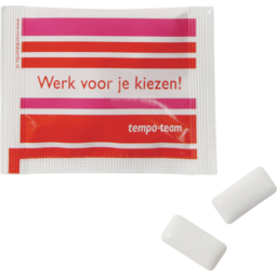 Sachet met 2 suikervrije kauwgommen