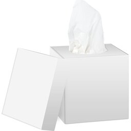 Tissue box met deksel